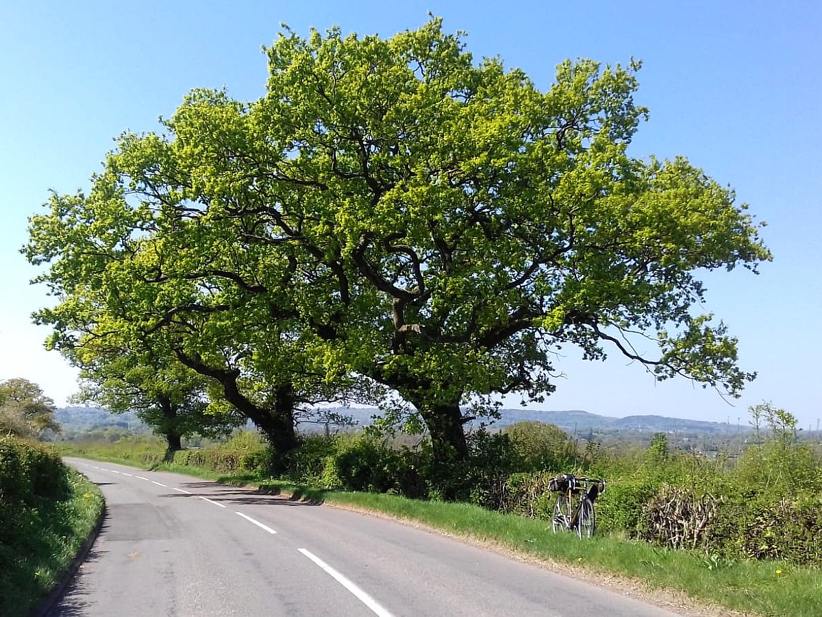 Weather Oak Hill