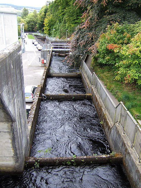Pitlochry Fish Ladder