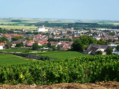 P1040140_400