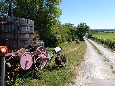 P1040154_400.jpg