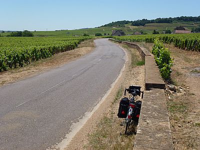 P1040156_400.jpg