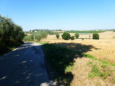 P1040294_400.jpg
