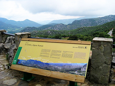 IMG_0686.JPG