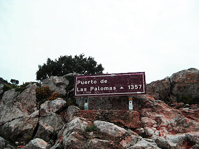 IMG_0690.JPG